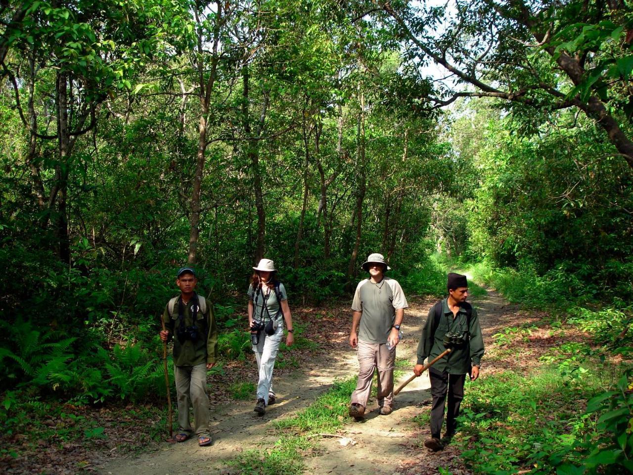 Park Safari Resort Sauraha Eksteriør bilde